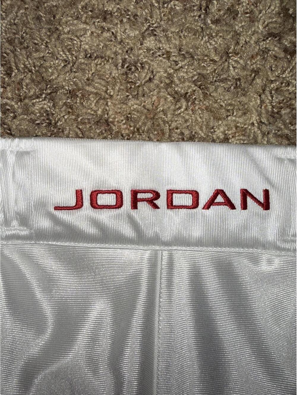 Jordan Men’s Brooklyn Cat Scratch Shorts Sample - Picture 3 of 14
